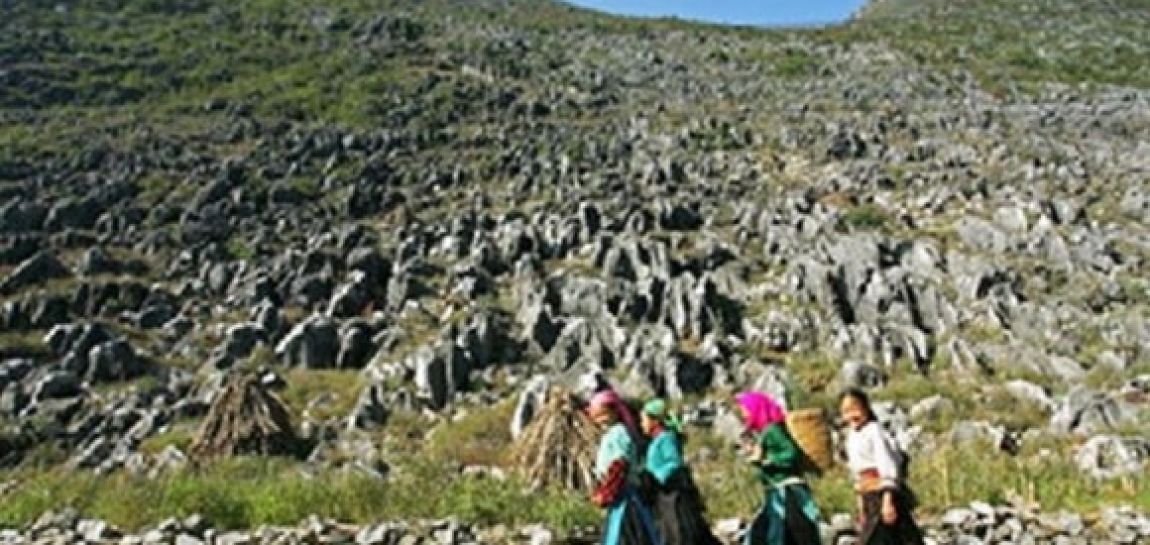 Di tích khảo cổ