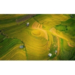 Ấn độ con đường Đức Phật hành đạo