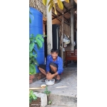 Cồn Chim một ngày " Chữa lành"